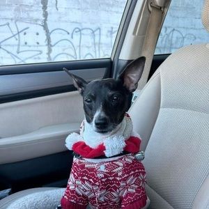 Meet your Posher, Steven